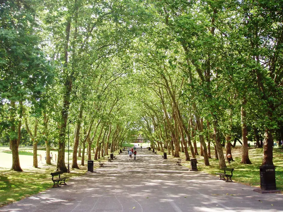 Tree-lined pathway at Crystal Palace Park