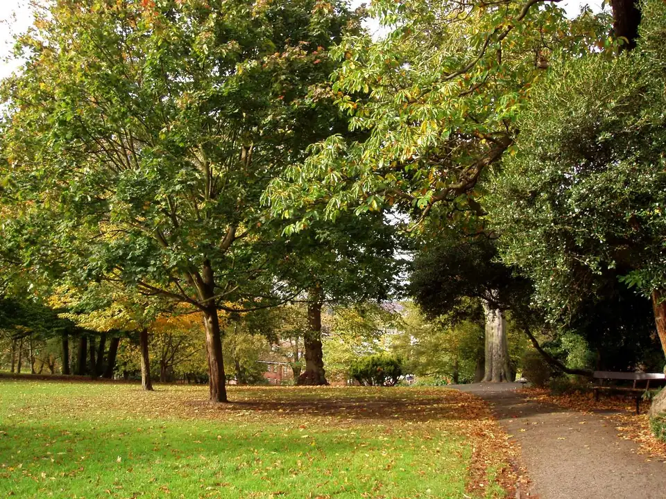 Trees and a footpath in Westow Park, Upper Norwood